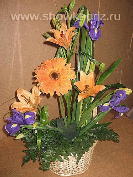 флористика