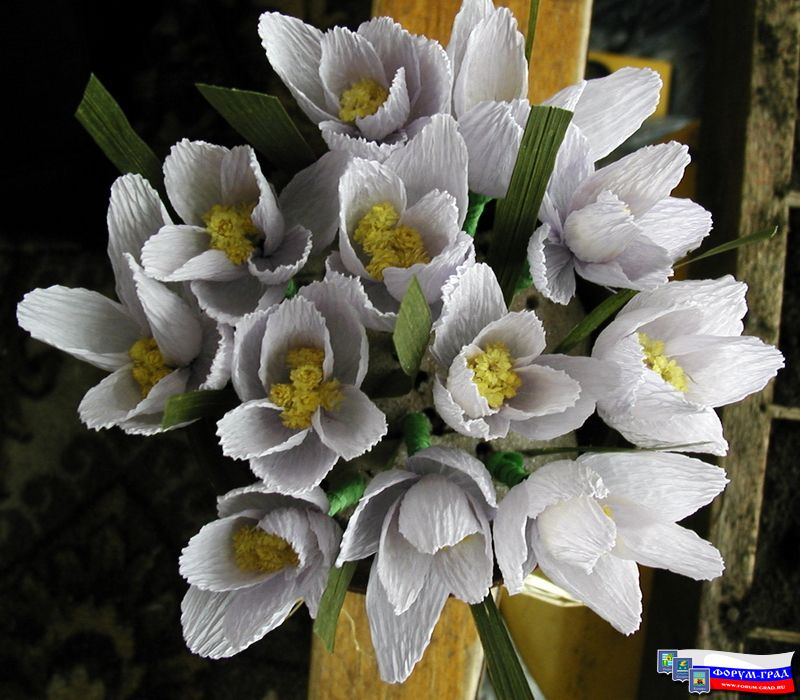 Первоцветы-2