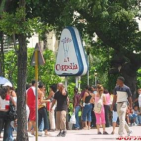 кафе Coppelia