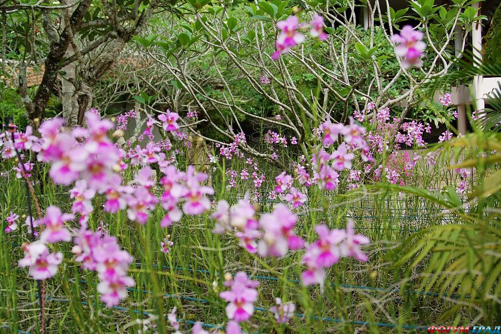 phuket-thailand- 140