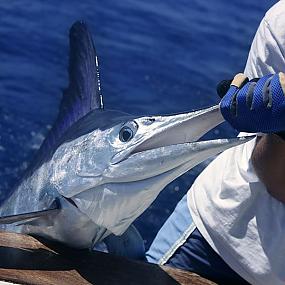 где позагорать поздней осенью
