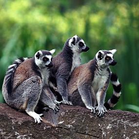 где позагорать поздней осенью