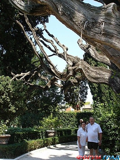 путешествия