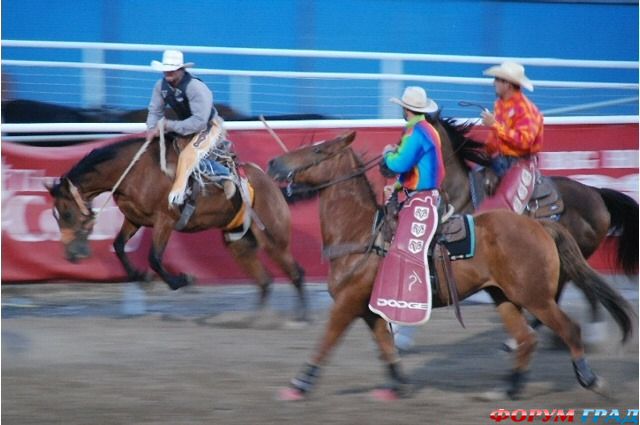 путешествия