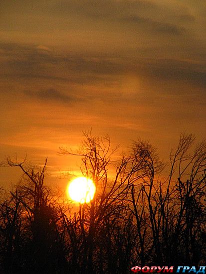 путешествия