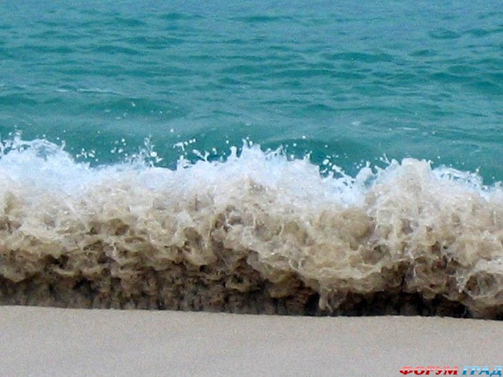 путешествия