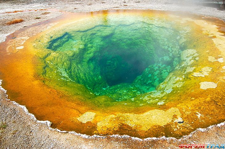 путешествия