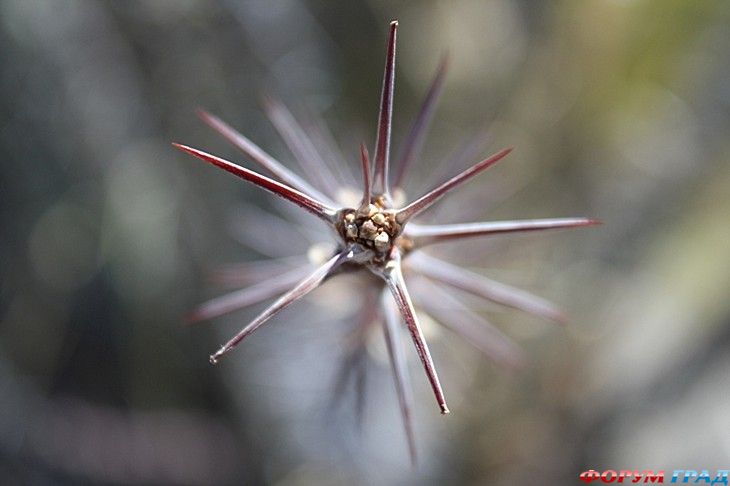 путешествия