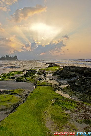 путешествия