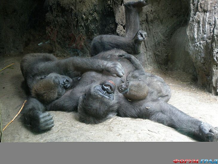 путешествия