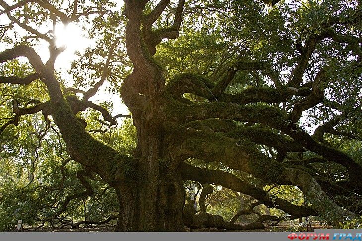 путешествия