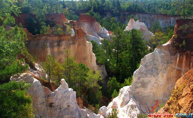 путешествия