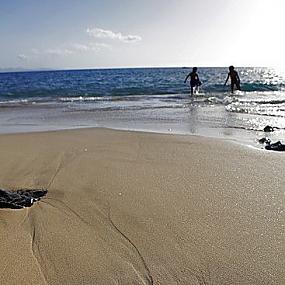 путешествия