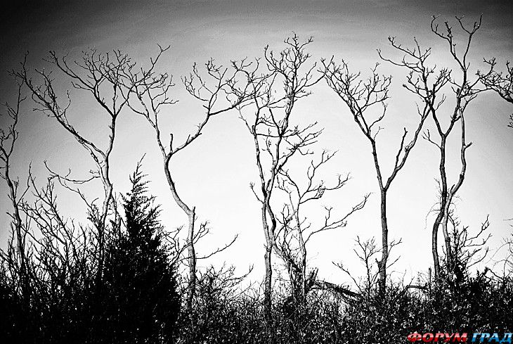 путешествия