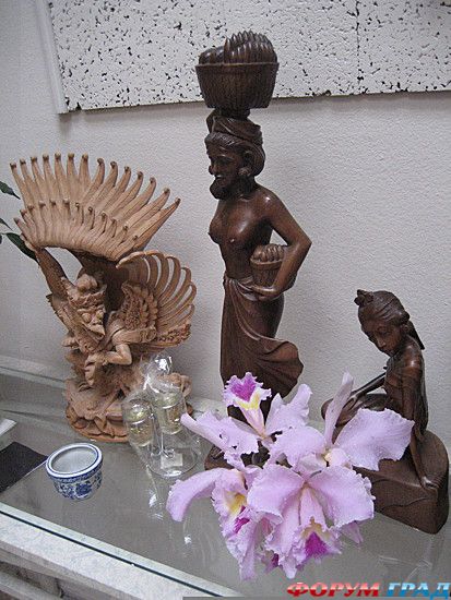 путешествия