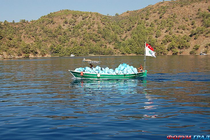 путешествия