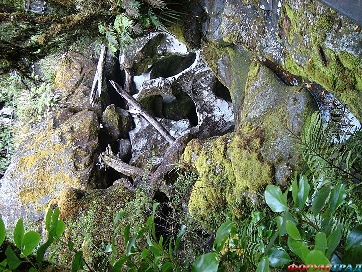 путешествия