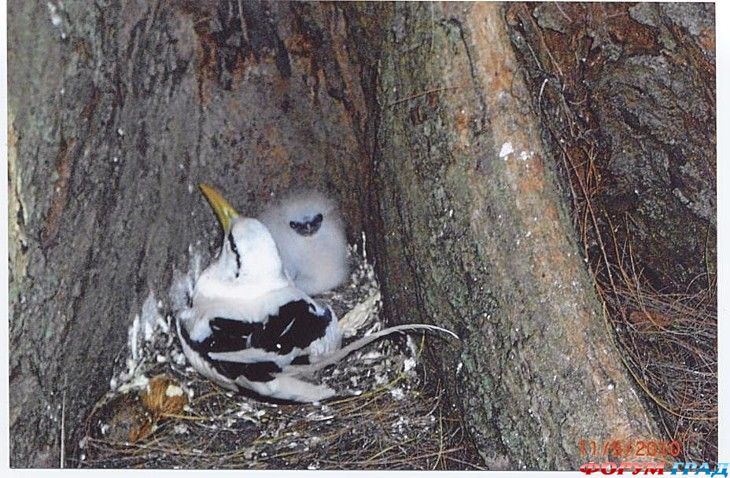 путешествия