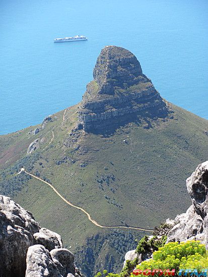 путешествия