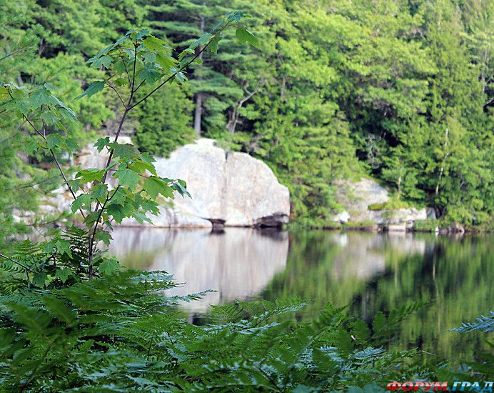 путешествия