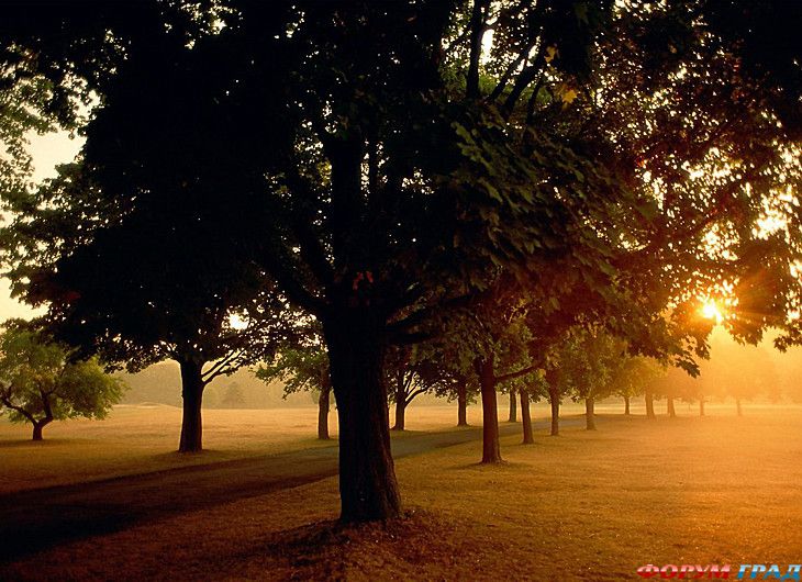 путешествия