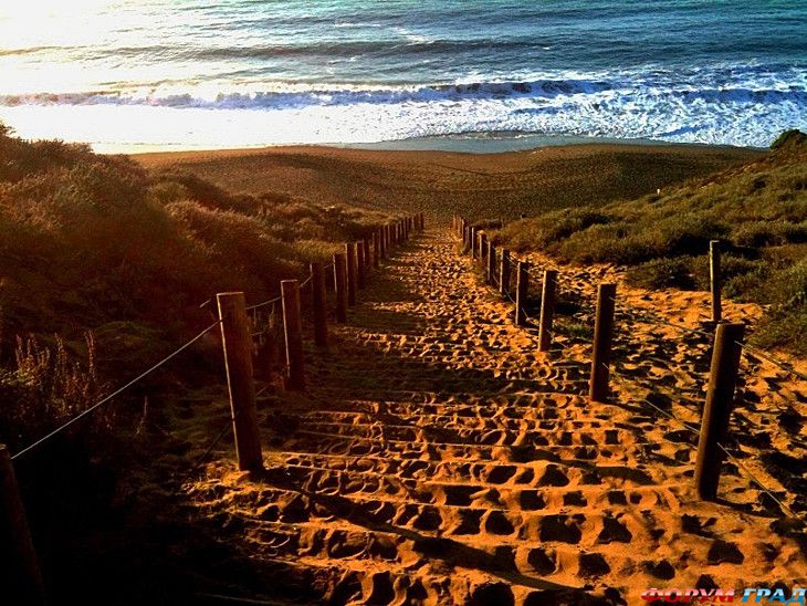 путешествия