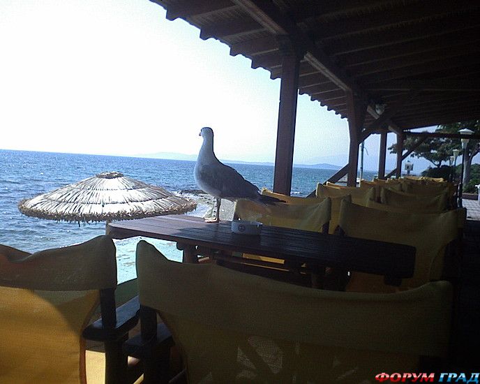 путешествия