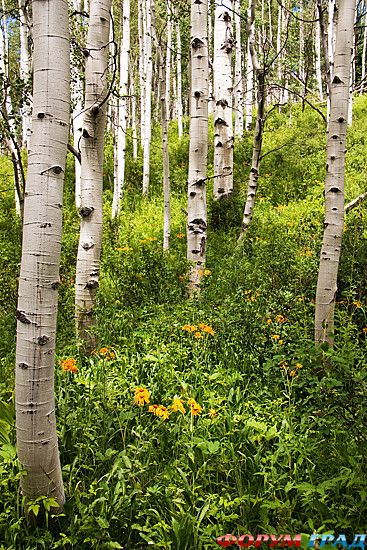 путешествия