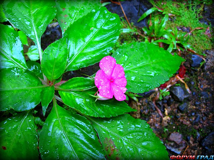 путешествия