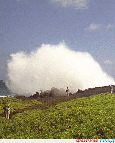путешествия