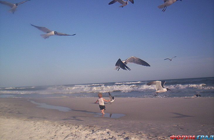 путешествия