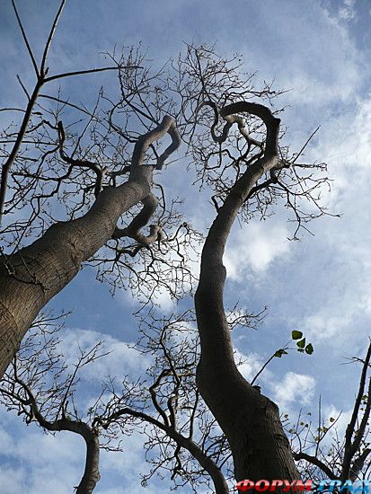 путешествия