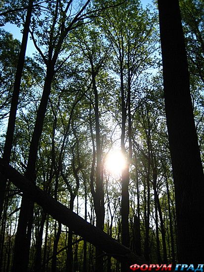 путешествия