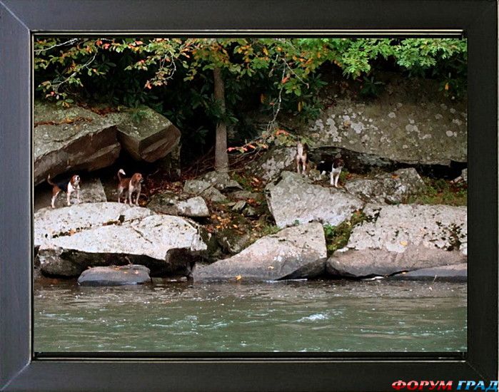 путешествия