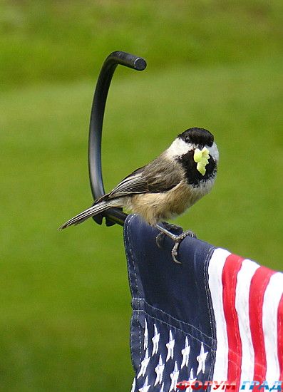 путешествия