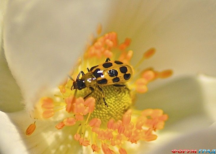 путешествия