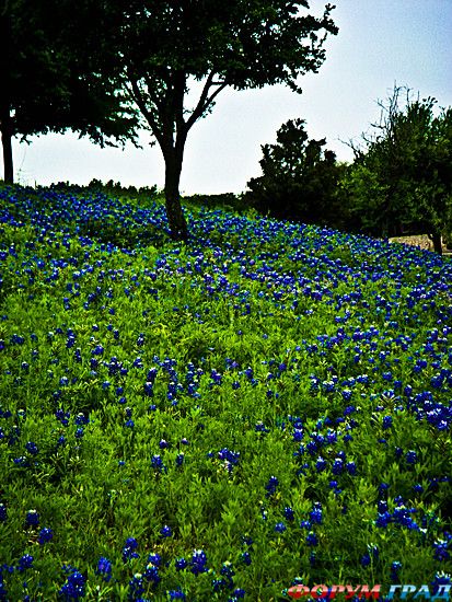 путешествия