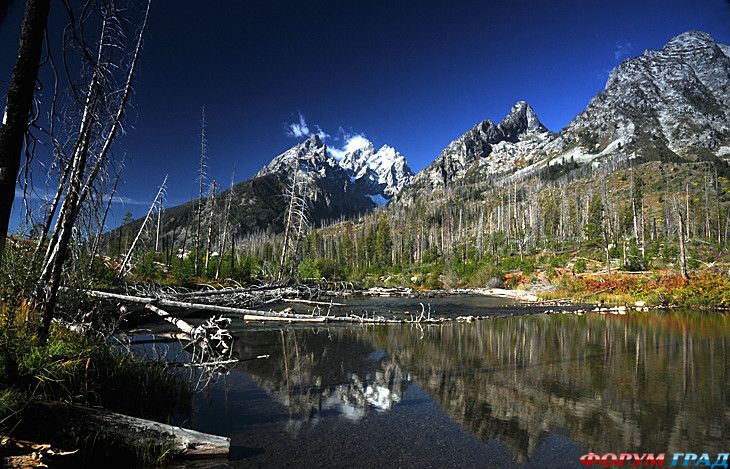 путешествия