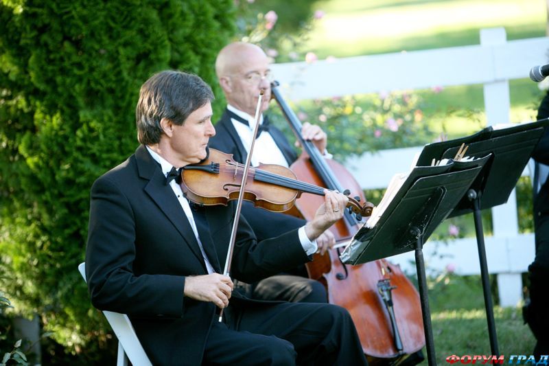 wedding-orchestra-04