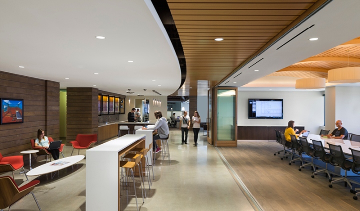 bluebeam-office-04