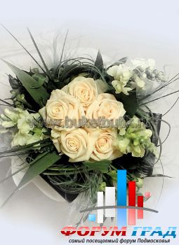 Forum-grad Buket103