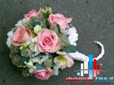 Forum-grad Buket111