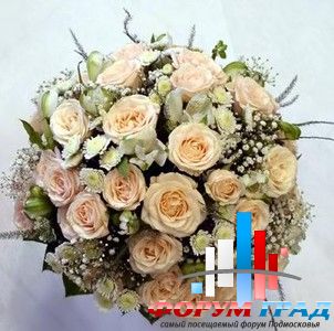 Forum-grad Buket14