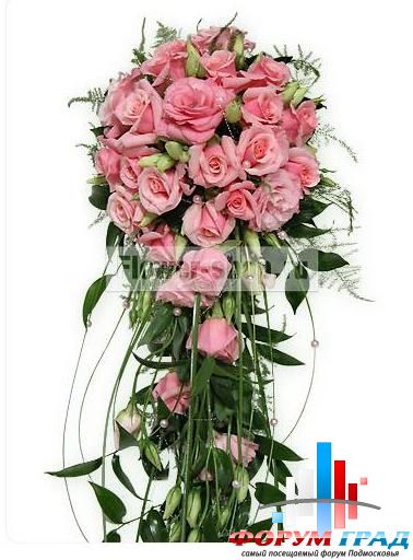 Forum-grad Buket146