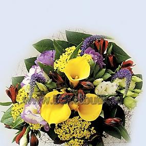 Forum-grad Buket200 89352