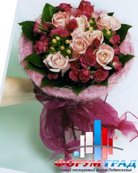 Forum-grad Buket79