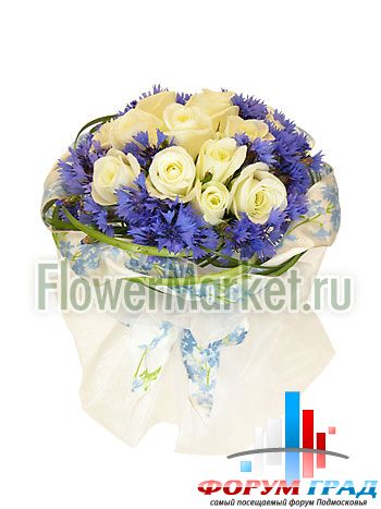 Forum-grad Buket90