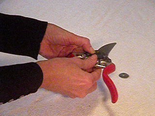 -sharpening secateurs-05