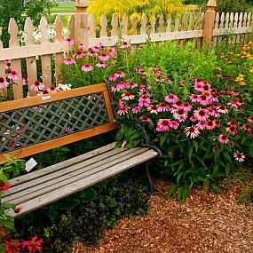 bench-in-the-garden-16