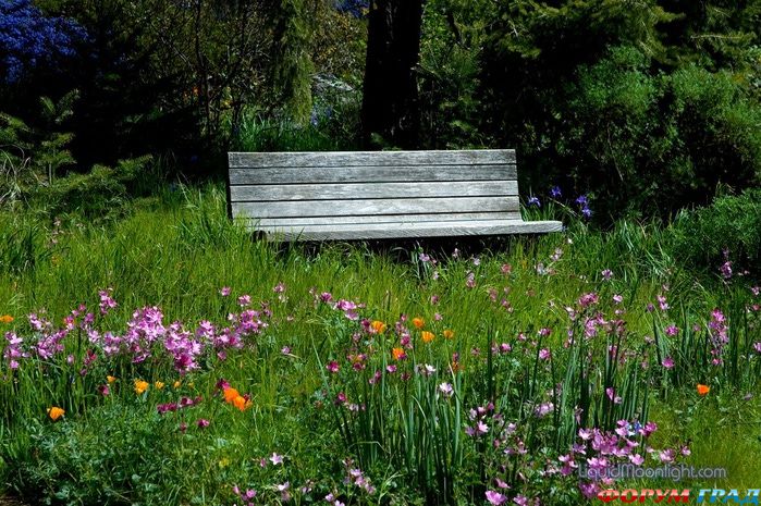 bench-in-the-garden-18